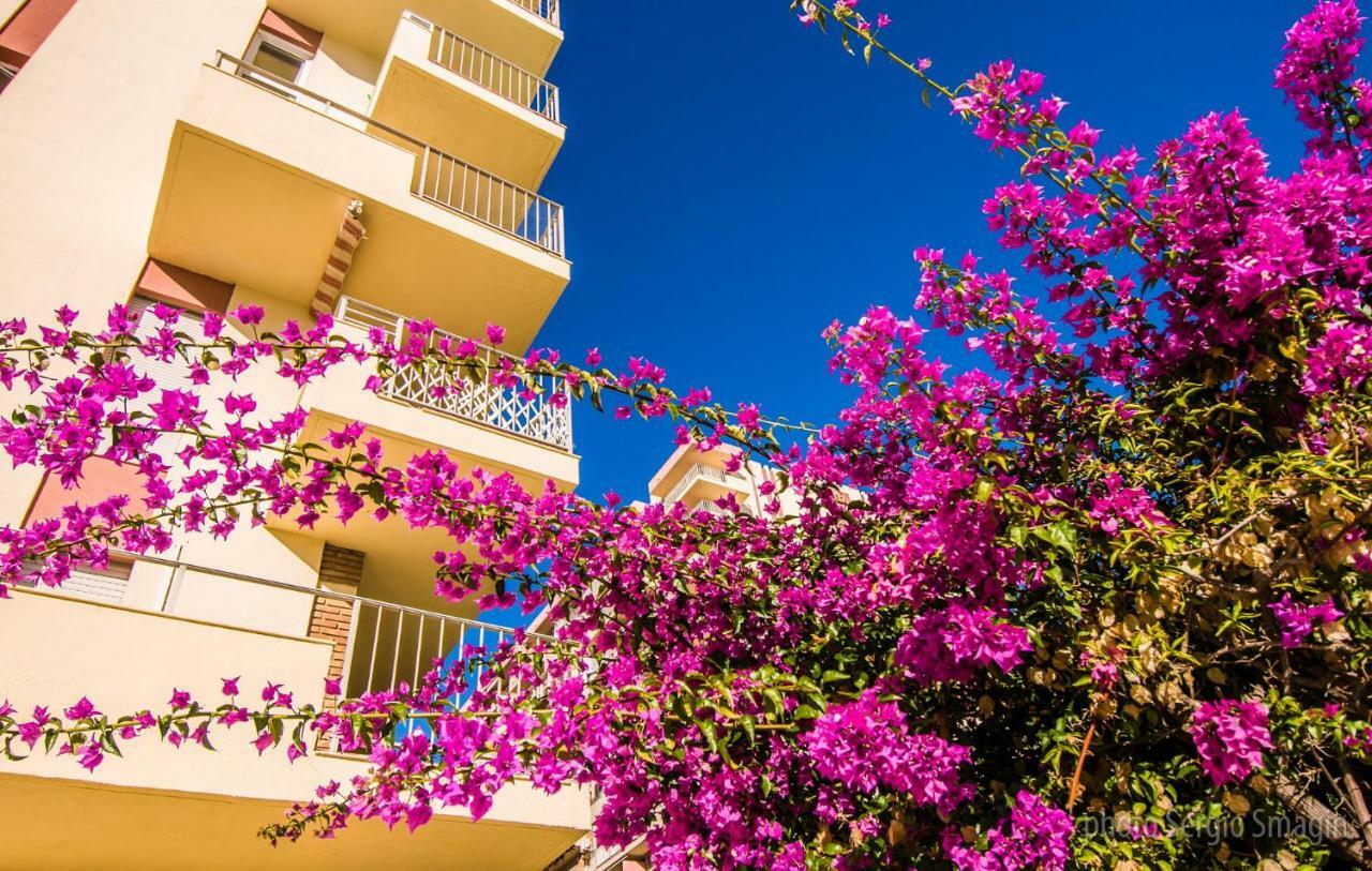 102 Estudio En Jupiter Apartmentos - Piscina Y Playa - Excelente Ubicacion بينالماذينا المظهر الخارجي الصورة
